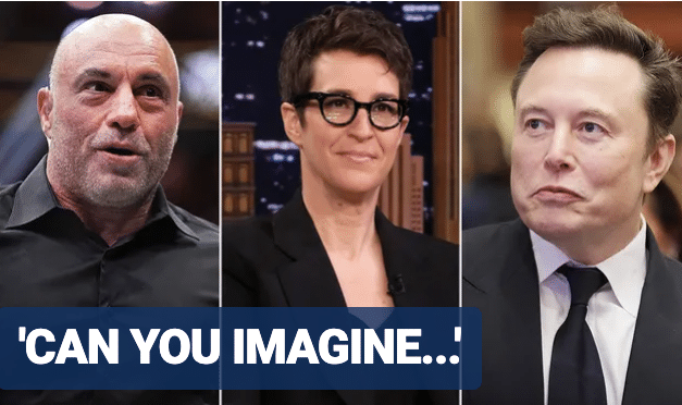 Joe Rogan asks to replace Rachel Maddow’s job if Elon Musk buys MSNBC